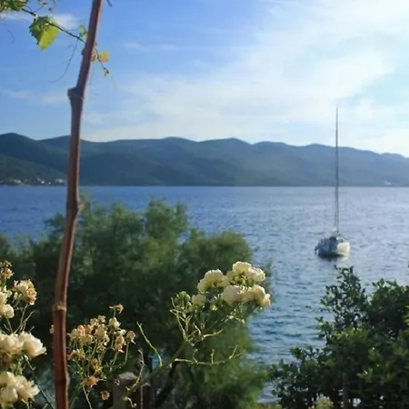 Nevenkos - 20 M From *
